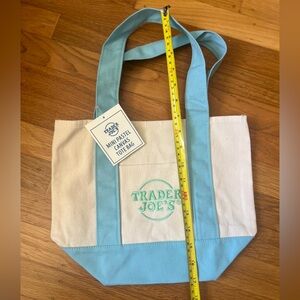 Trader Joe’s pastel Blue mini Tote # 1